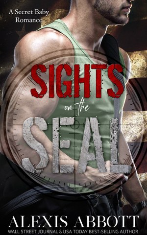 Sights on the SEAL
